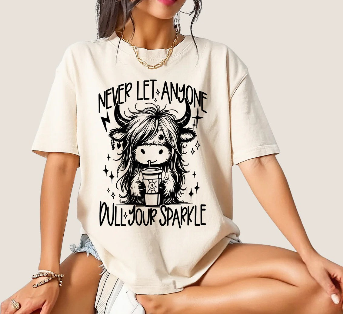 SINGLE COLOR SCREEN PRINT TRANSFER - NEVER LET ANYONE DULL
