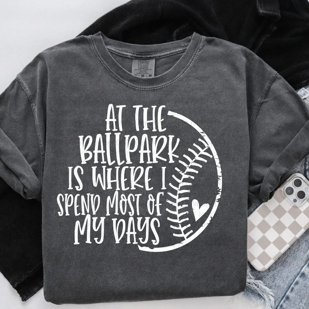 SINGLE COLOR SCREEN PRINT TRANSFER - AT THE BALL PARK