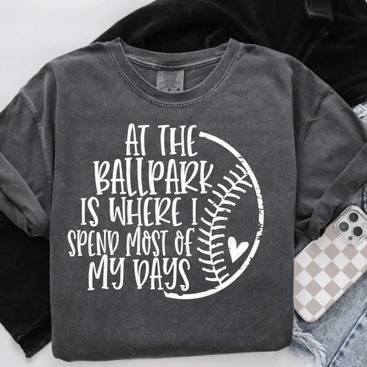SINGLE COLOR SCREEN PRINT TRANSFER - AT THE BALL PARK